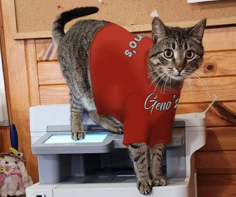 Genos sewer mascot cat